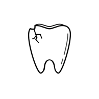 Riverview FL Dentist | I Chipped a Tooth! What Can I Do? 