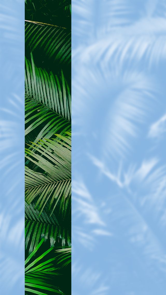 Are Sugar Free Drinks Ok For My Teeth?