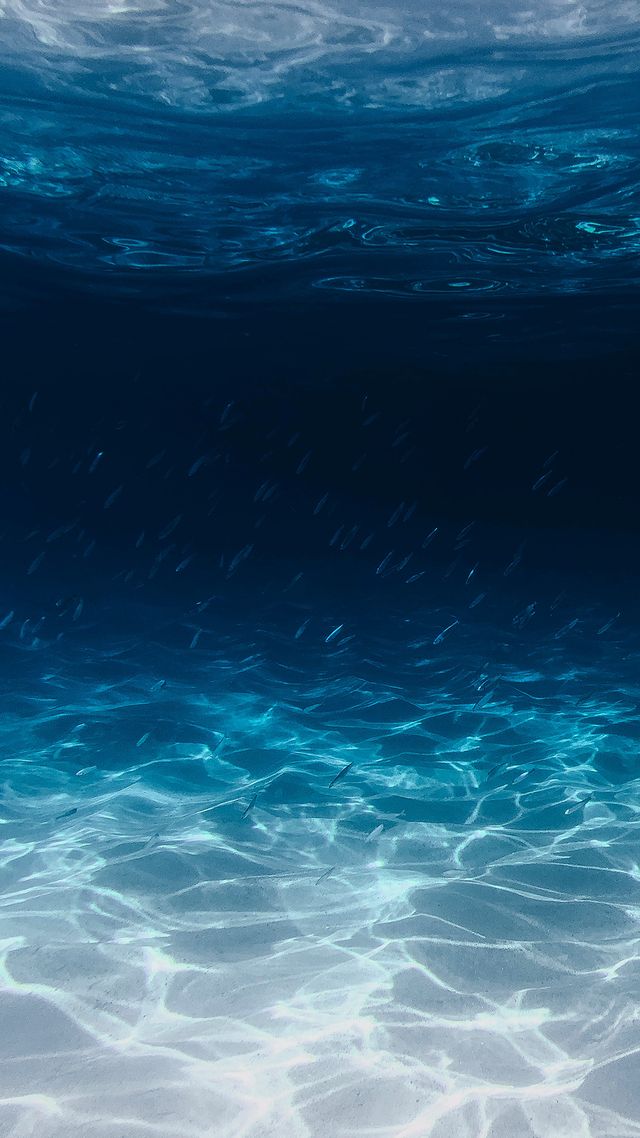 How Long To Wait To Eat After A Composite Filling