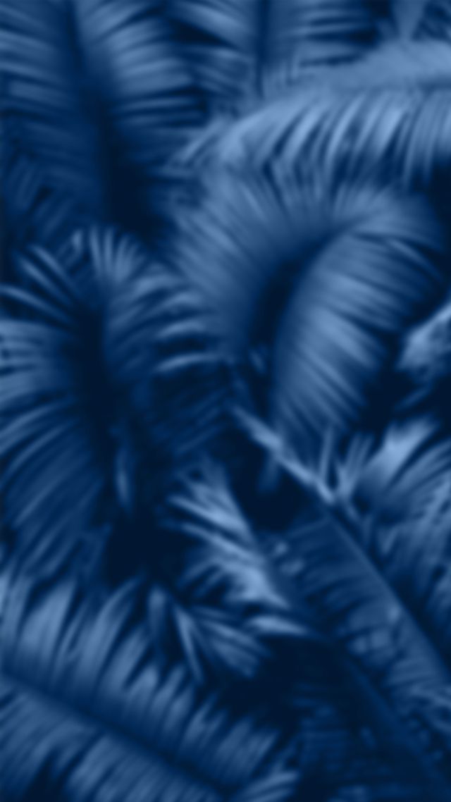 How Ceramic Veneers Can Complete Your Smile After Braces