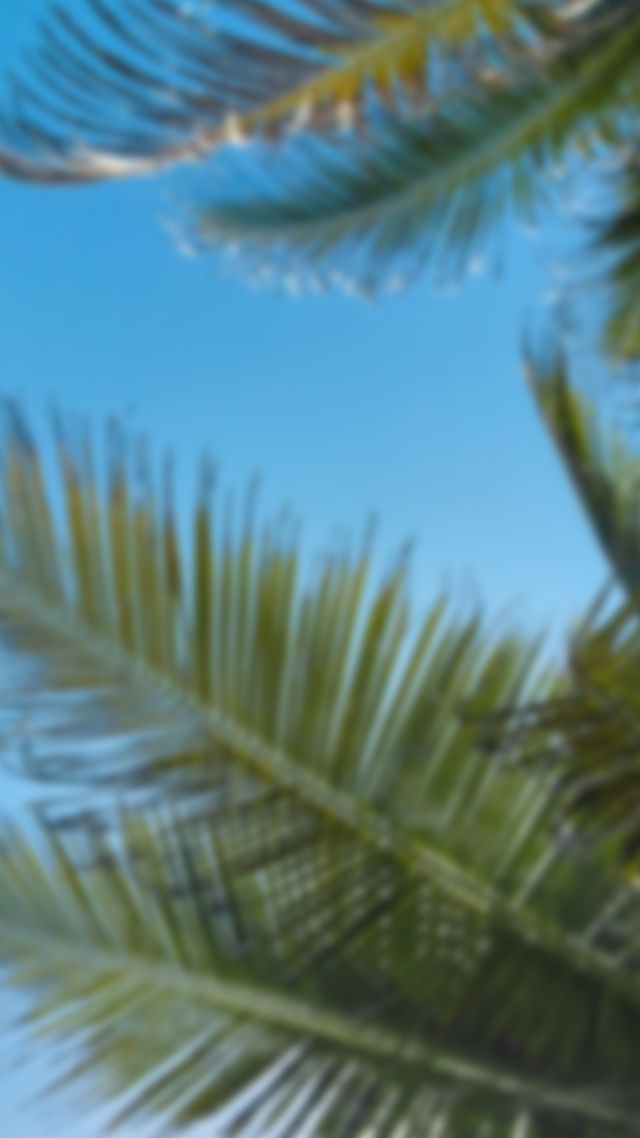 Dental Crowns: Restore Your Teeth and Smile Confidently