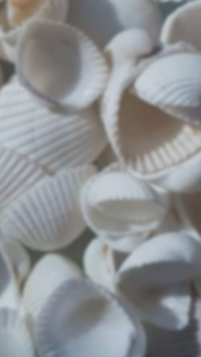 Veneers vs. Crowns: Which Is Right for Your Smile?